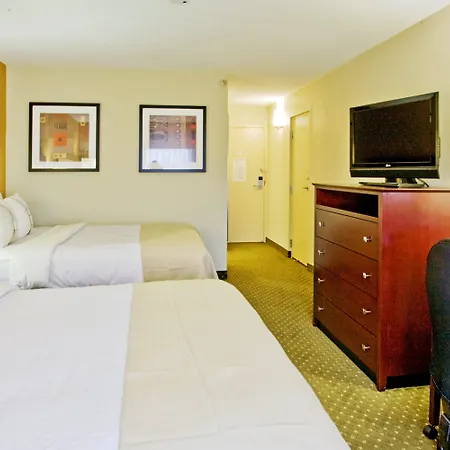 Holiday Inn St. Petersburg N - Clearwater By Ihg-2